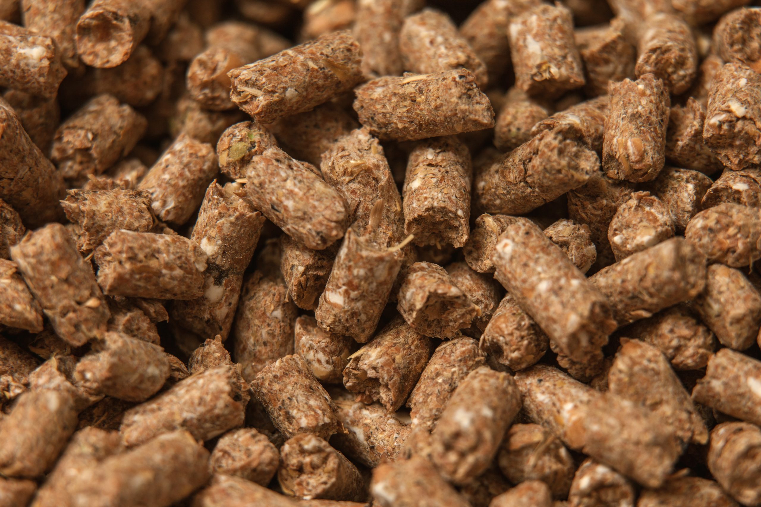 Grobest Chuen-Shin Feeds Co., LTD., GLOBALG.A.P. CFM v3.1, (25-26-27.03.2026)