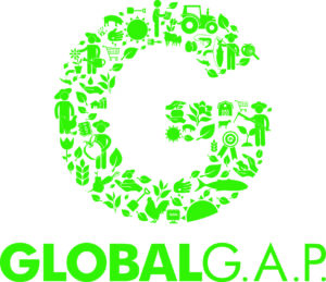 G_Logo_green