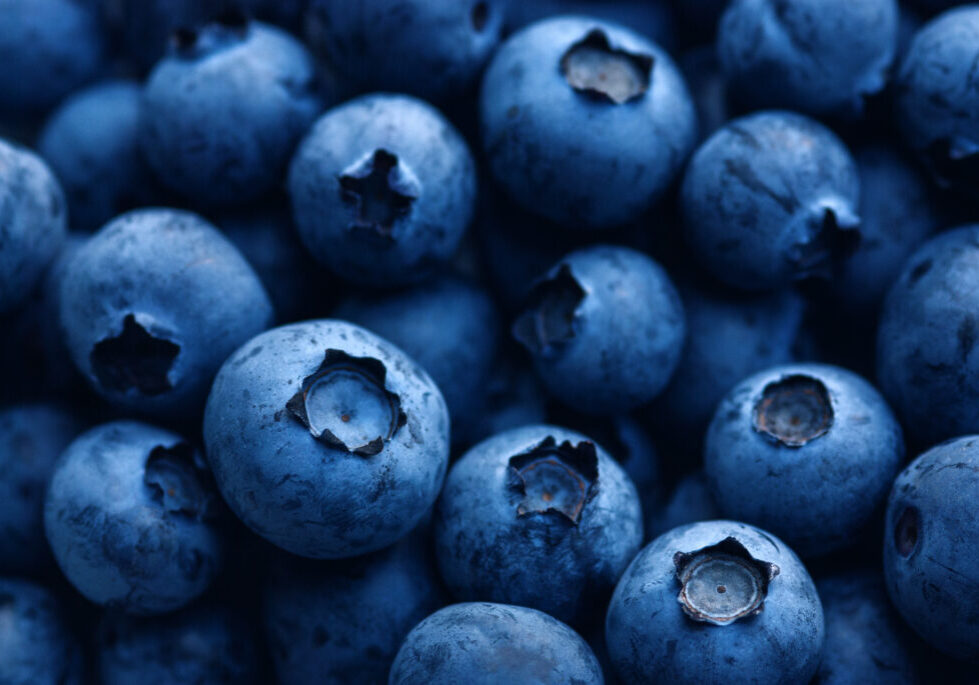 dark blue ripe blueberry macro for food texture background