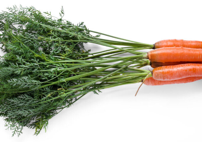 Delicious carrot on a white background