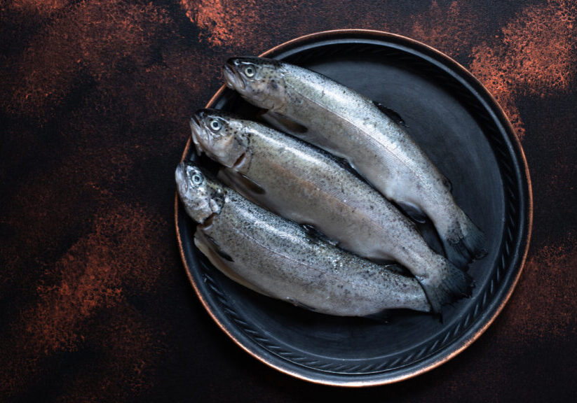 three-fresh-raw-trouts-vintage-plate-rustic-dark-background-tasty-fish-ingredient-healthy-dinner