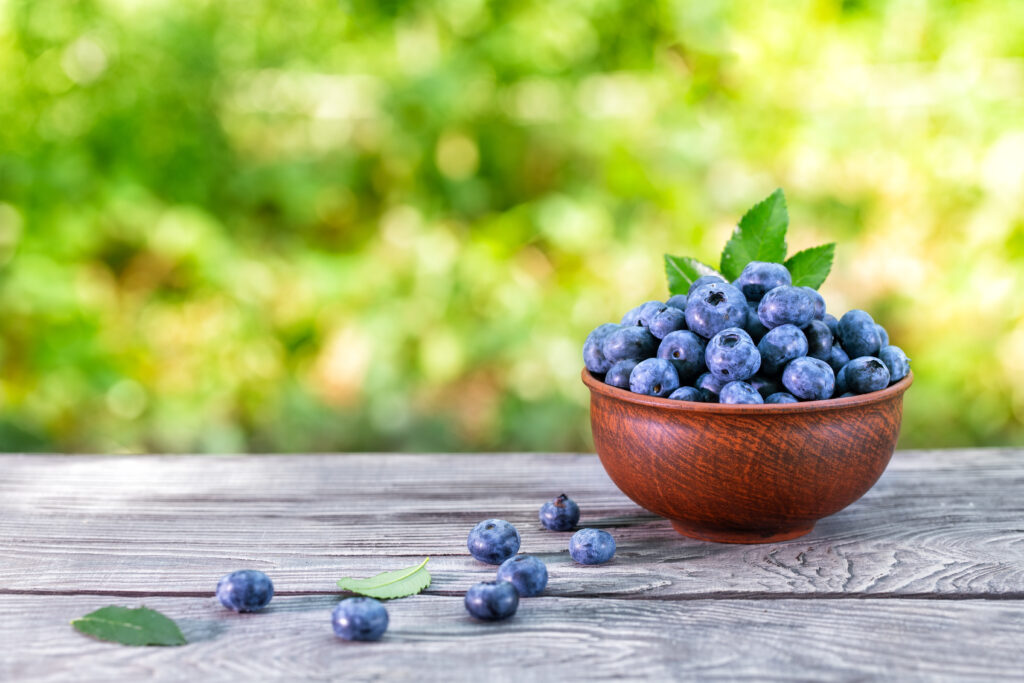 Blueberry berries in a clay bowl. Wooden table, green natural background. Organic food concept