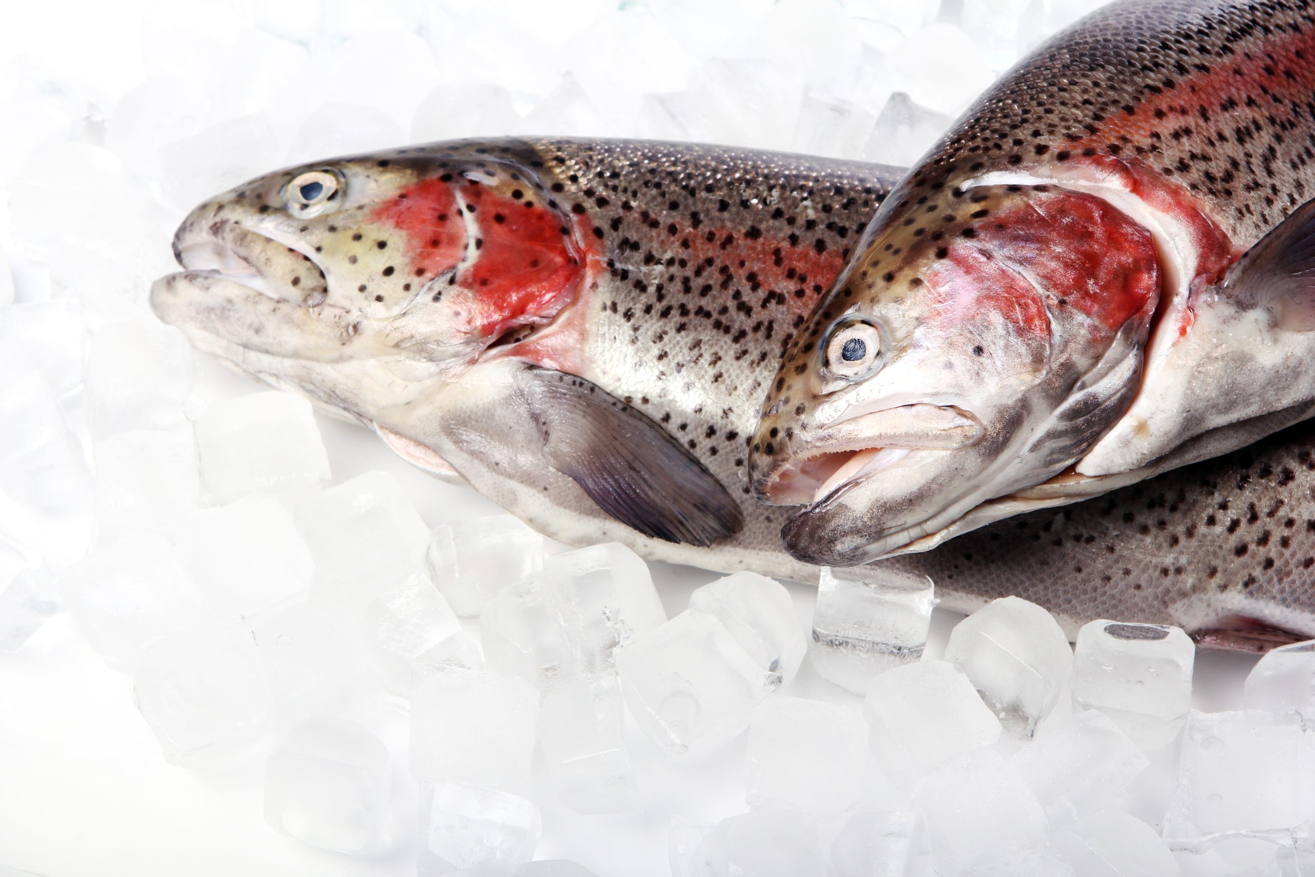 Mavi Damla Su Ürünleri San. Tic. Ltd. Şti. GLOBALG.A.P Aquaculture Audit (03-04.03.2022)