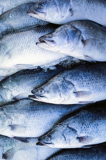 seafood-fresh-barramundi-fish-market_43058-403
