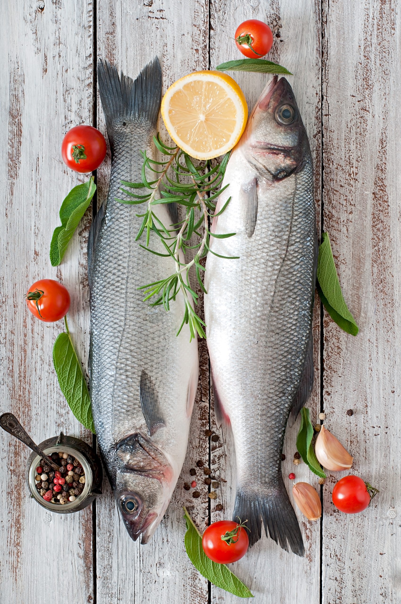 Enver Ekinci Tarım Su Ürünleri Ltd. Şti., GLOBALG.A.P. IFA Aquaculture v6.0-Smart, GRASP v2.0, (17-18.04.2025)