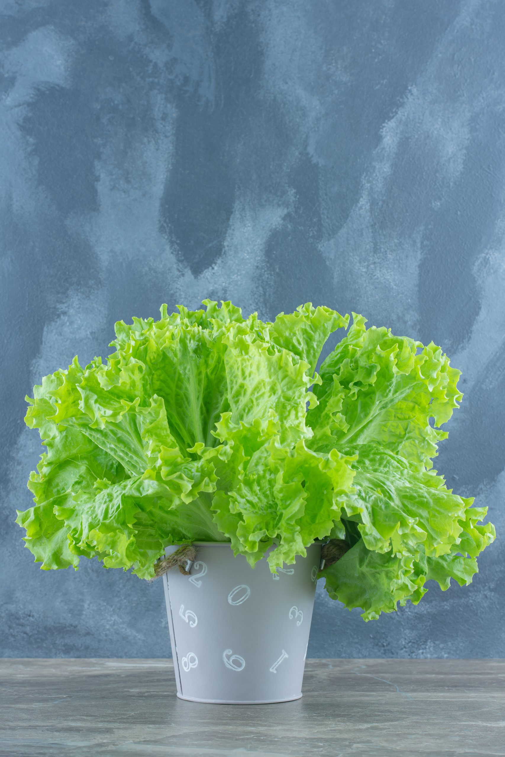 Guarantee Responsibility Yunlin County Mailiao Fruit and – Vegetables Production Cooperative, GLOBALG.A.P. IFA Crop Base v6.0-Smart + GLOBALG.A.P. PLUS v2.1 + GRASP v2.0, (01-02-03-04.01.2025)