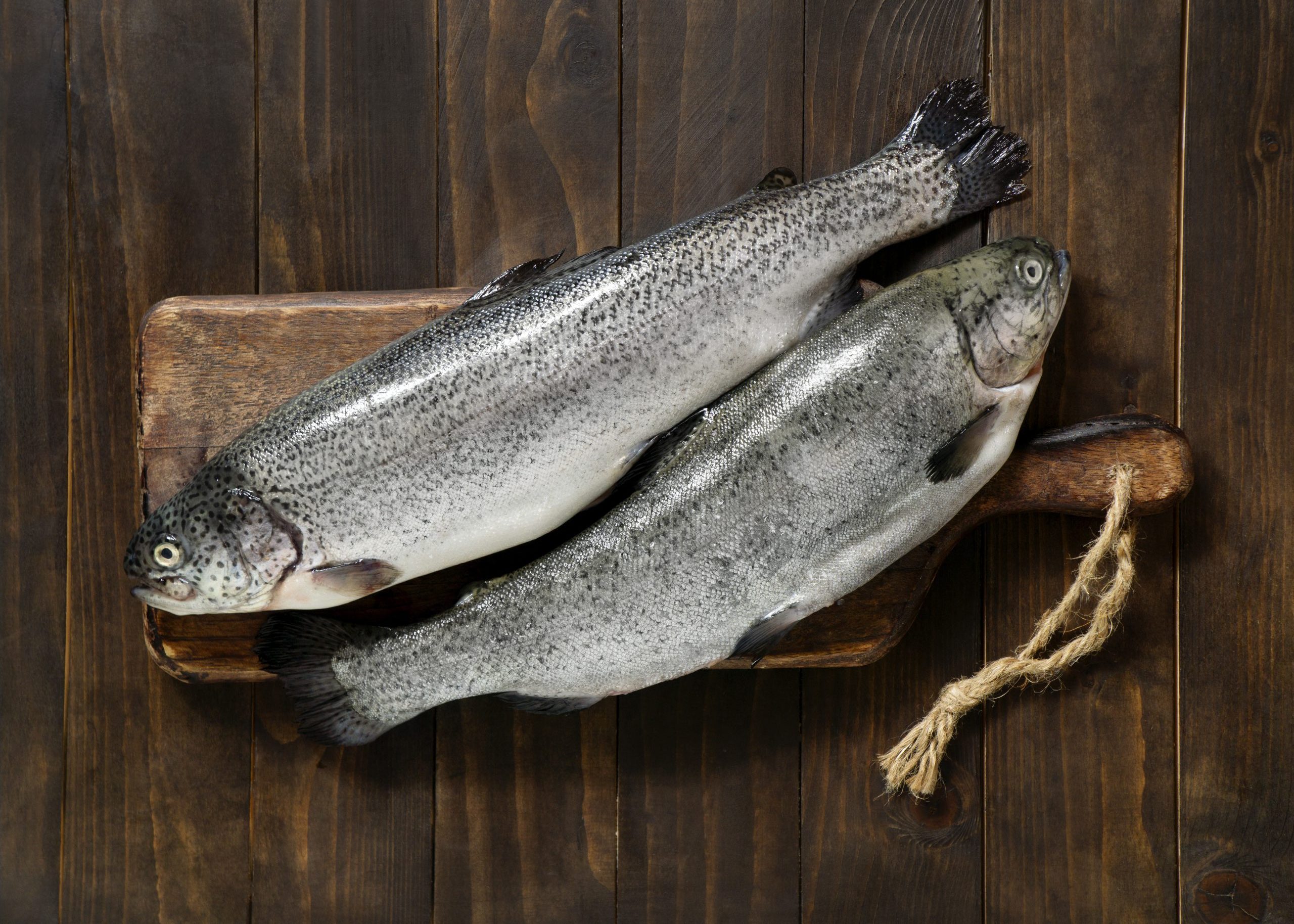 Selina Fish Su Ürünleri Ltd. Şti. , ASC Freshwater Trout v1.2, (01-02.09.2025)